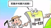 一棵菜、一条鱼、一粒米：年轻人热衷务农的“乡村振兴密码”