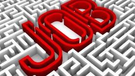 @求职者 你经历的招聘是真的吗？